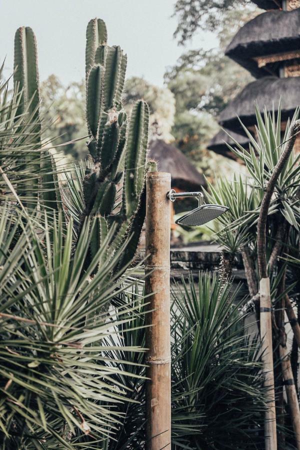 Villa The Seseh House Canggu Exterior foto